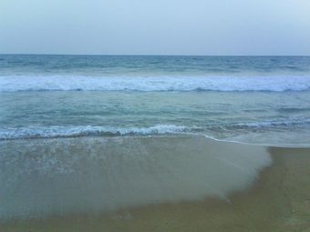 DSC00874.JPG