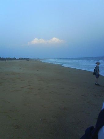 DSC00876.JPG