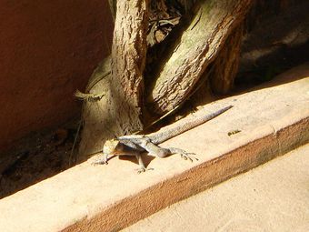 DSC01658.JPG