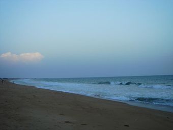 DSC01685.JPG