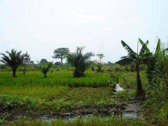 DSC01696.JPG