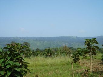DSC01722.JPG