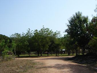 DSC01725.JPG