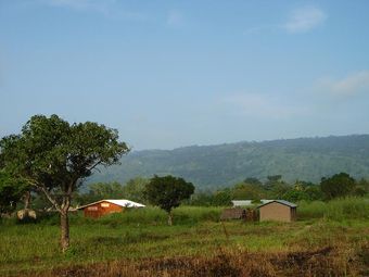 DSC01750.JPG