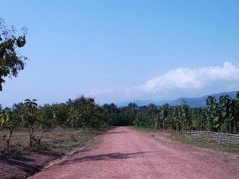 DSC01886.JPG