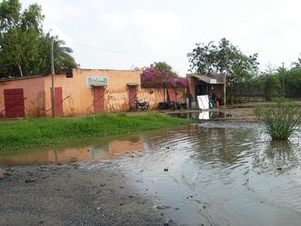 DSC01952.JPG
