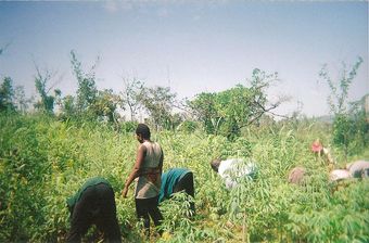 image0-3.jpg