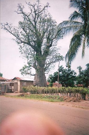 image0-6.jpg